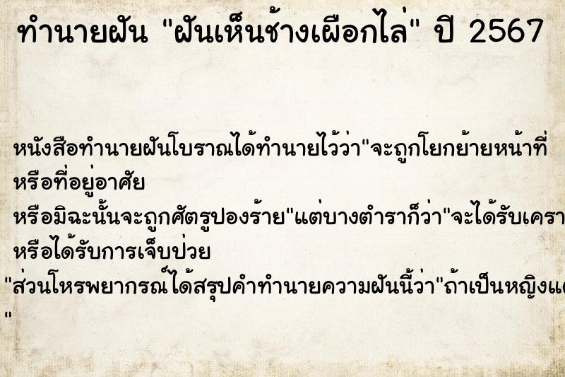 ทำนายฝันฝันเห็นช้างเผือกไล่ ทำนายฝันทำนายฝันฝันเห็นช้างเผือกไล่