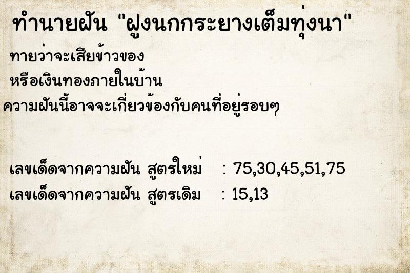 ทำนายฝันทำนายฝันฝูงนกกระยางเต็มทุ่งนา