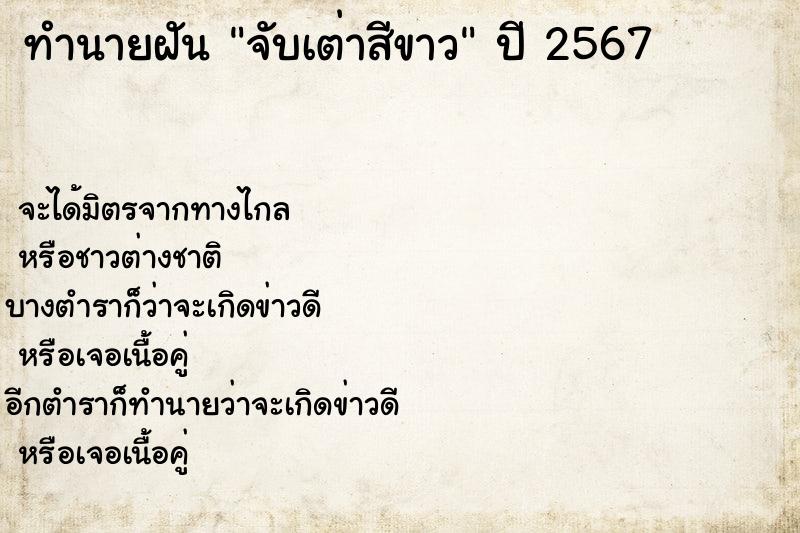 ทำนายฝันจับเต่าสีขาว ทำนายฝันทำนายฝันจับเต่าสีขาว
