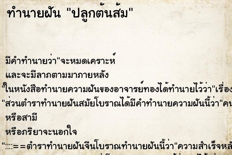 ทำนายฝัน ปลูกต้นส้ม ตำราโบราณ แม่นที่สุดในโลก