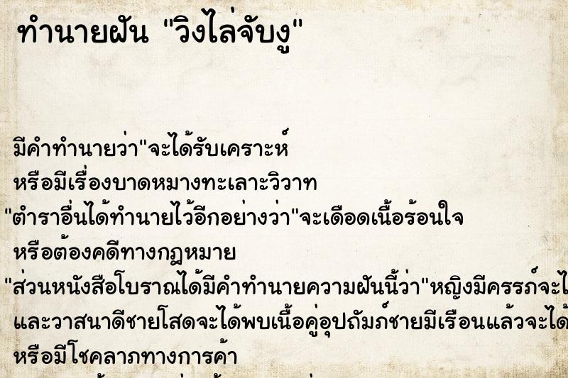 ทำนายฝันวิงไล่จับงู ทำนายฝันทำนายฝันวิงไล่จับงู