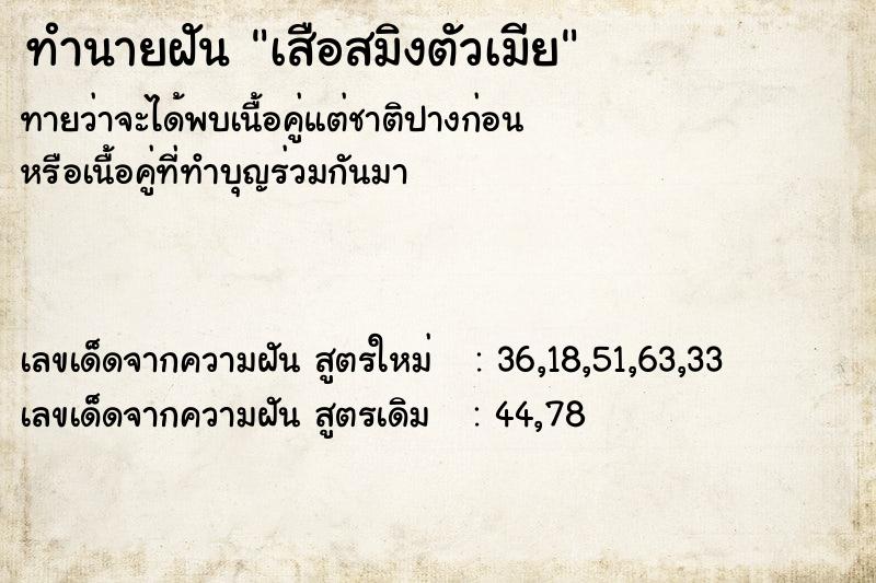 ทำนายฝัน เสือสมิงตัวเมีย ทำนายฝัน เสือสมิงตัวเมีย