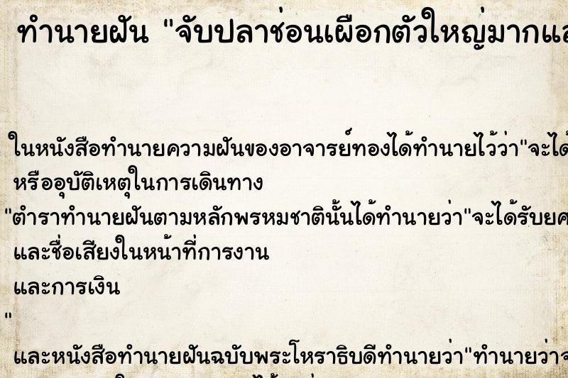 ทำนายฝัน จับปลาช่อนเผือกตัวใหญ่มากแล้วปล่อย ทำนายฝัน จับปลาช่อนเผือกตัวใหญ่มากแล้วปล่อย