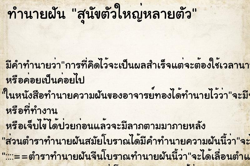 ทำนายฝัน สุนัขตัวใหญ่หลายตัว ทำนายฝัน สุนัขตัวใหญ่หลายตัว