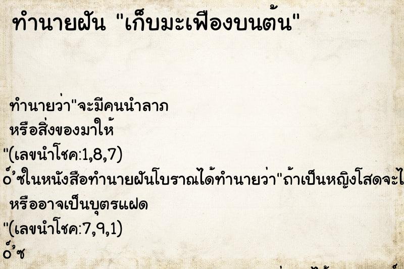 ทำนายฝัน เก็บมะเฟืองบนต้น ทำนายฝัน เก็บมะเฟืองบนต้น