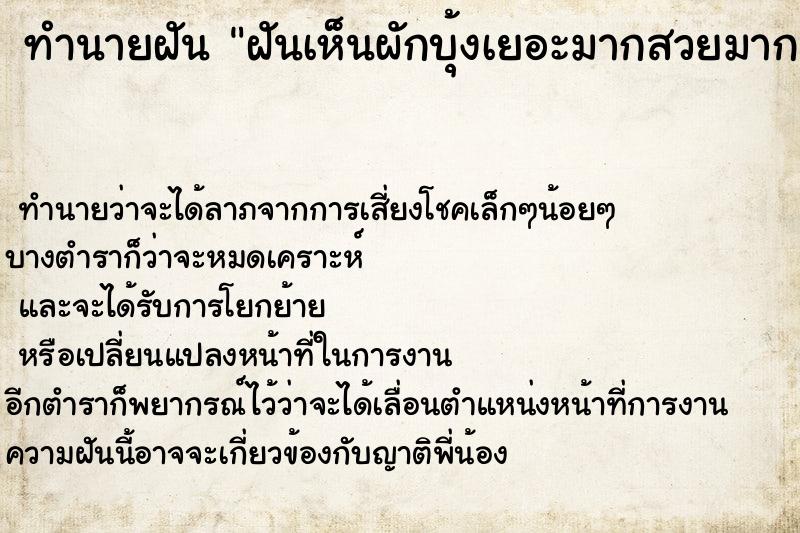 ทำนายฝันฝันเห็นผักบุ้งเยอะมากสวยมากยอดอ่อนเต็มไปหมด ทำนายฝันทำนายฝันฝันเห็นผักบุ้งเยอะมากสวยมากยอดอ่อนเต็มไปหมด