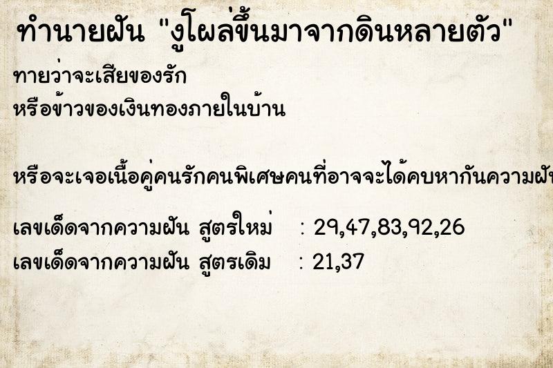 ทำนายฝันทำนายฝันงูโผล่ขึ้นมาจากดินหลายตัว