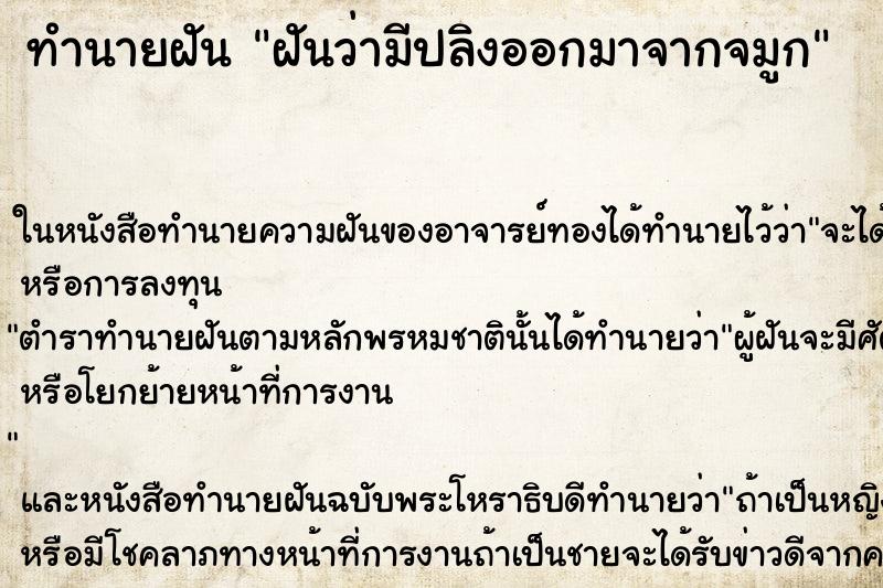 ทำนายฝันฝันว่ามีปลิงออกมาจากจมูก ทำนายฝันทำนายฝันฝันว่ามีปลิงออกมาจากจมูก