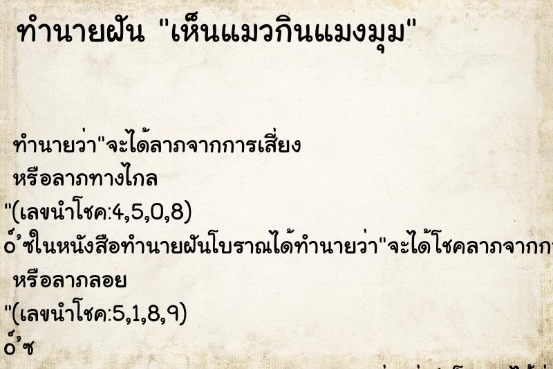 ทำนายฝันทำนายฝันเห็นแมวกินแมงมุม