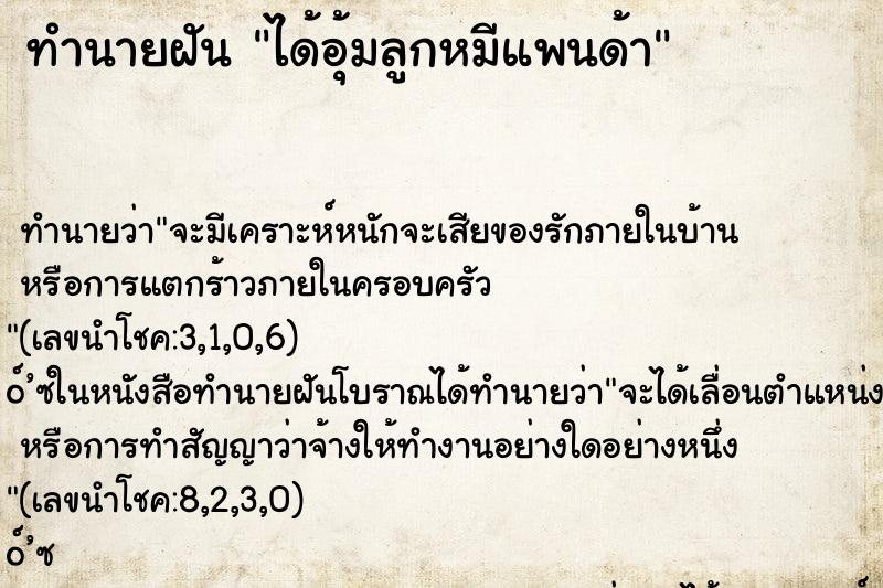 ทำนายฝัน ได้อุ้มลูกหมีแพนด้า ทำนายฝัน ได้อุ้มลูกหมีแพนด้า