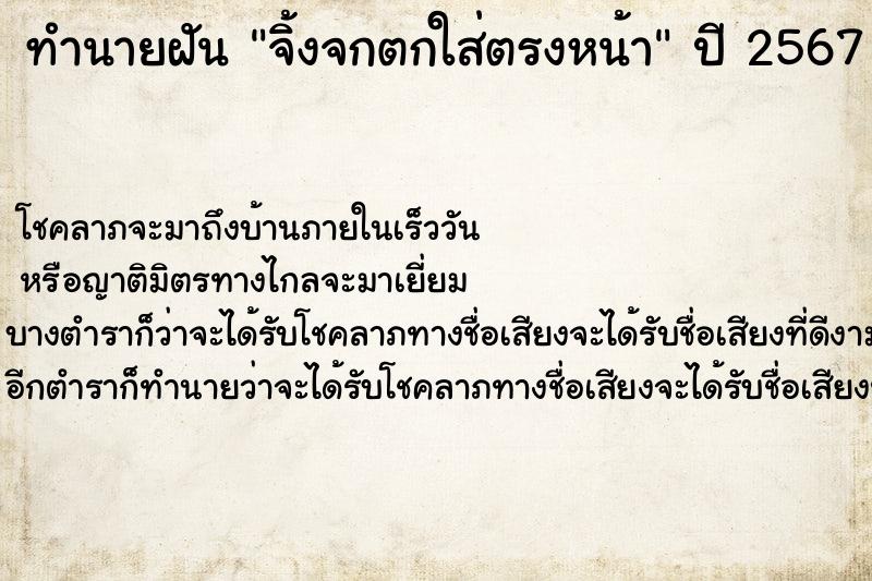 ทำนายฝัน จิ้งจกตกใส่ตรงหน้า