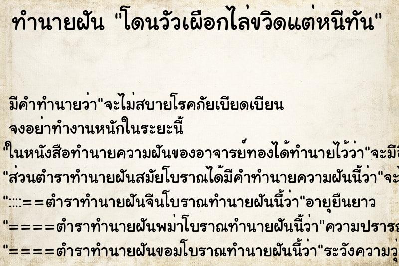 ทำนายฝัน โดนวัวเผือกไล่ขวิดแต่หนีทัน ทำนายฝัน โดนวัวเผือกไล่ขวิดแต่หนีทัน
