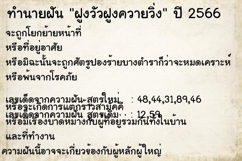 ทำนายฝัน ฝูงวัวฝูงควายวิ่ง