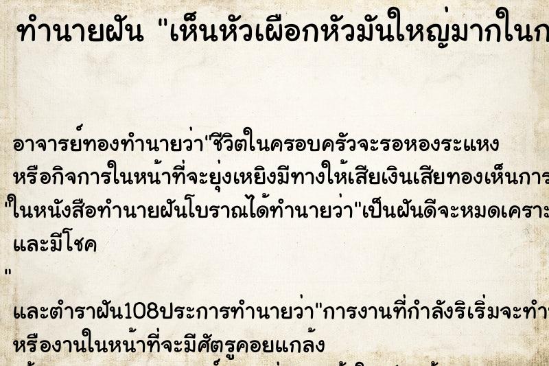 ทำนายฝัน เห็นหัวเผือกหัวมันใหญ่มากในกะละมัง ทำนายฝัน เห็นหัวเผือกหัวมันใหญ่มากในกะละมัง