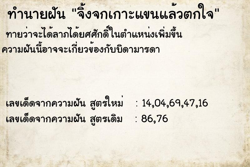 ทำนายฝันจิ้งจกเกาะแขนแล้วตกใจ ทำนายฝันทำนายฝันจิ้งจกเกาะแขนแล้วตกใจ