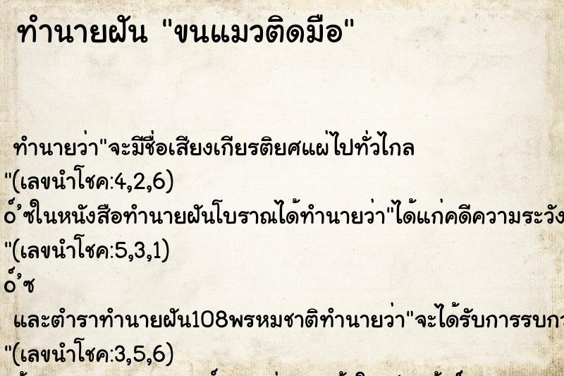 ทำนายฝัน ขนแมวติดมือ