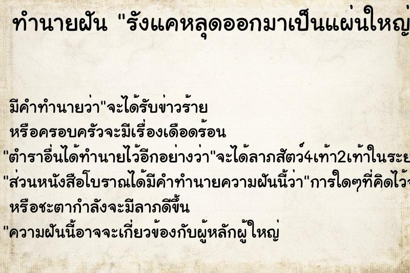 ทำนายฝันรังแคหลุดออกมาเป็นแผ่นใหญ่ ทำนายฝันทำนายฝันรังแคหลุดออกมาเป็นแผ่นใหญ่