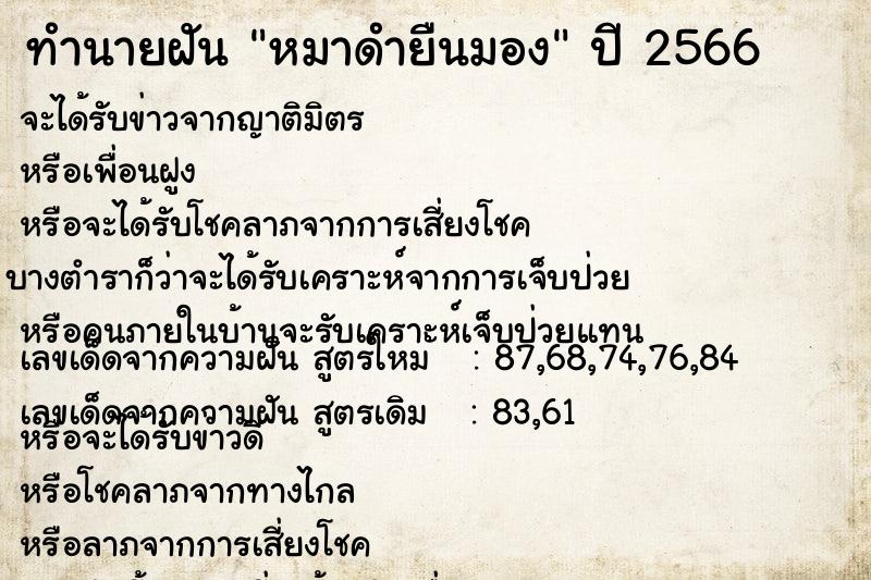 ทำนายฝัน หมาดำยืนมอง ทำนายฝัน หมาดำยืนมอง