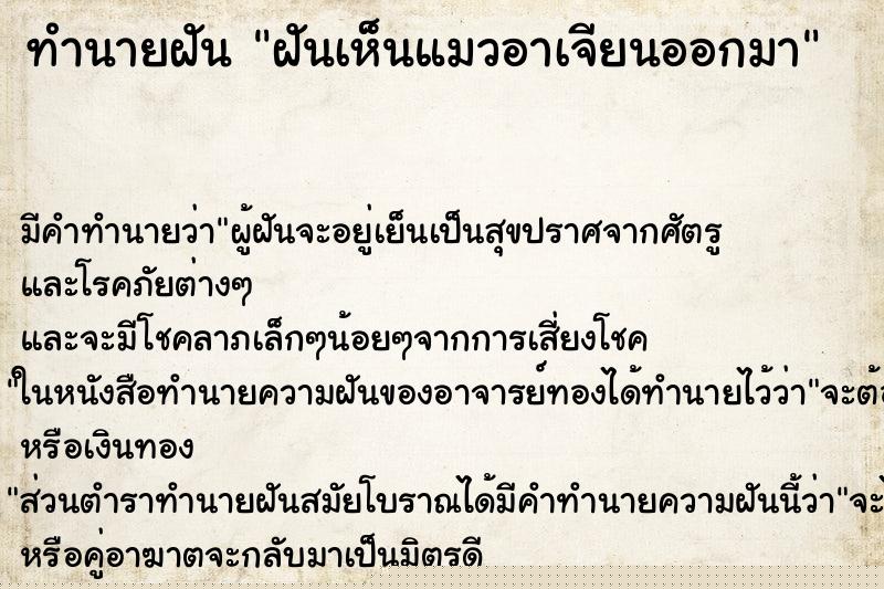 ทำนายฝัน ฝันเห็นแมวอาเจียนออกมา