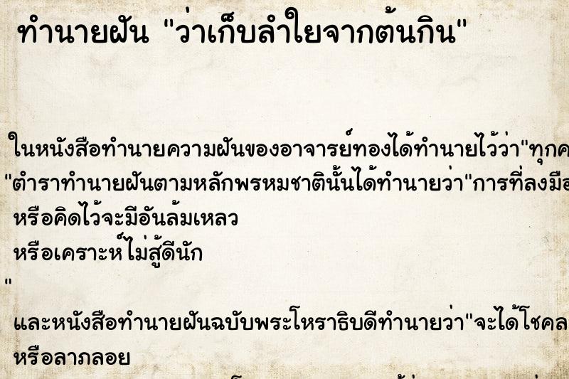 ทำนายฝันทำนายฝันว่าเก็บลำใยจากต้นกิน