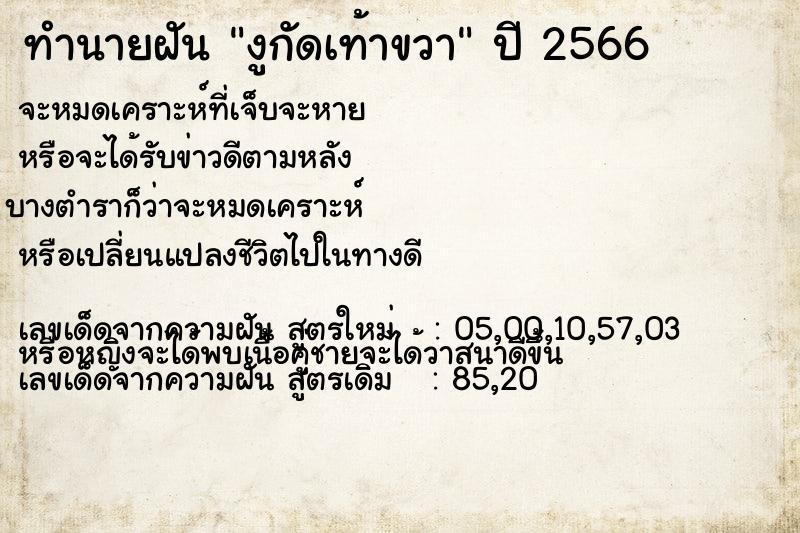 ทำนายฝัน งูกัดเท้าขวา ทำนายฝัน งูกัดเท้าขวา