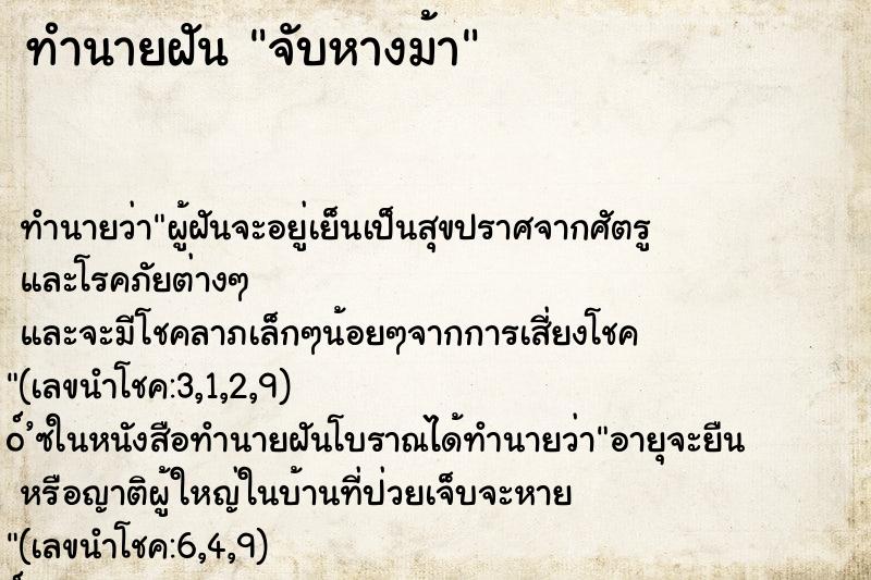 ทำนายฝันทำนายฝันจับหางม้า