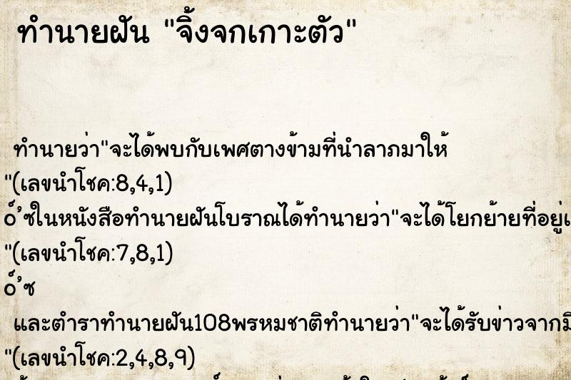 ทำนายฝัน จิ้งจกเกาะตัว