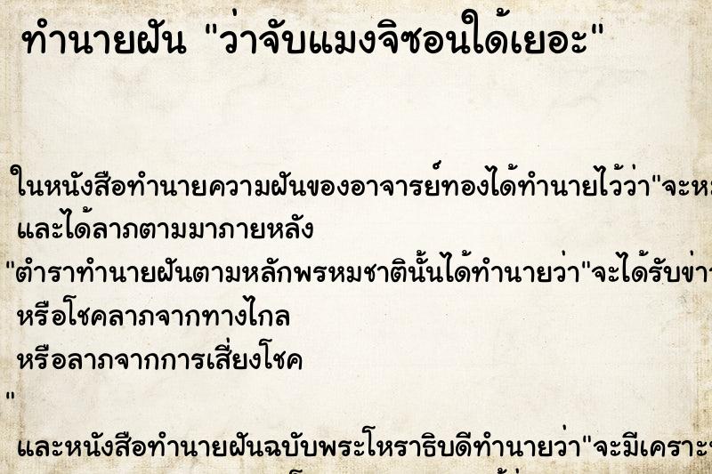 ทำนายฝันว่าจับแมงจิซอนใด้เยอะ ทำนายฝันทำนายฝันว่าจับแมงจิซอนใด้เยอะ