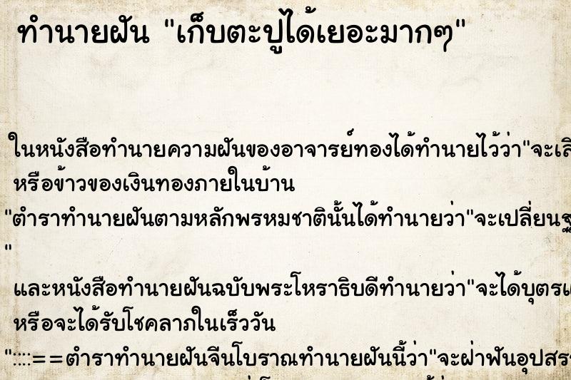 ทำนายฝันเก็บตะปูได้เยอะมากๆ ทำนายฝันทำนายฝันเก็บตะปูได้เยอะมากๆ