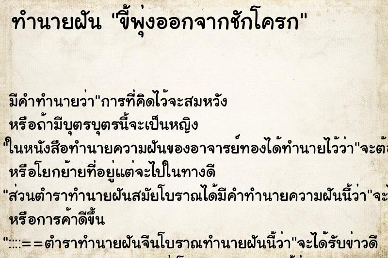 ทำนายฝัน ขี้พุ่งออกจากชักโครก ทำนายฝัน ขี้พุ่งออกจากชักโครก