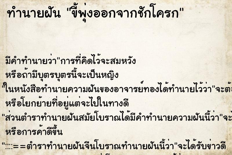 ทำนายฝัน ขี้พุ่งออกจากชักโครก ตำราโบราณ แม่นที่สุดในโลก