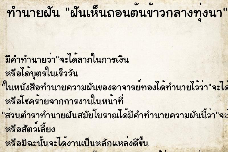 ทำนายฝันฝันเห็นถอนต้นข้าวกลางทุ่งนา ทำนายฝันทำนายฝันฝันเห็นถอนต้นข้าวกลางทุ่งนา