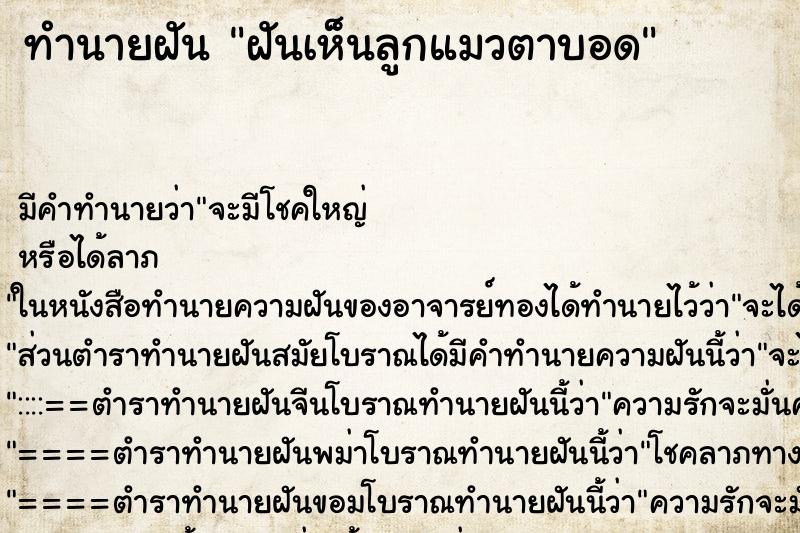 ทำนายฝันฝันเห็นลูกแมวตาบอด ทำนายฝันทำนายฝันฝันเห็นลูกแมวตาบอด