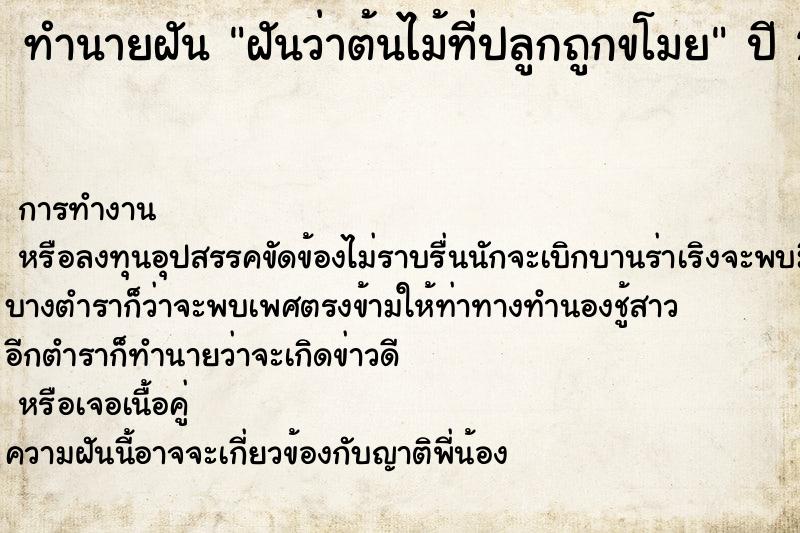 ทำนายฝันฝันว่าต้นไม้ที่ปลูกถูกขโมย ทำนายฝันทำนายฝันฝันว่าต้นไม้ที่ปลูกถูกขโมย