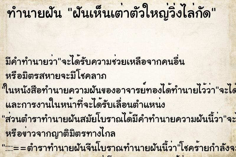 ทำนายฝัน ฝันเห็นเต่าตัวใหญ่วิ่งไล่กัด ทำนายฝัน ฝันเห็นเต่าตัวใหญ่วิ่งไล่กัด