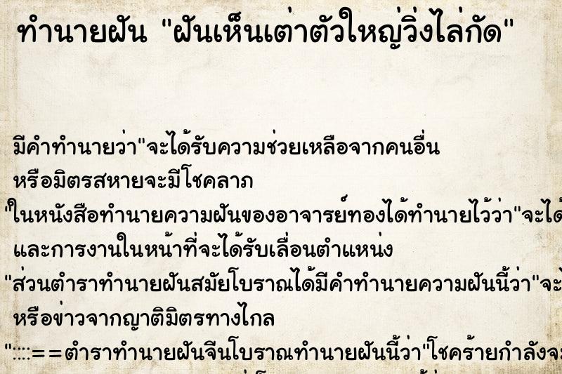 ทำนายฝัน ฝันเห็นเต่าตัวใหญ่วิ่งไล่กัด ตำราโบราณ แม่นที่สุดในโลก