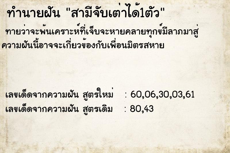 ทำนายฝัน สามีจับเต่าได้1ตัว ทำนายฝัน สามีจับเต่าได้1ตัว