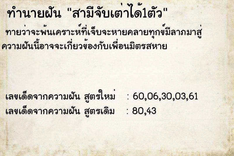 ทำนายฝัน สามีจับเต่าได้1ตัว ตำราโบราณ แม่นที่สุดในโลก