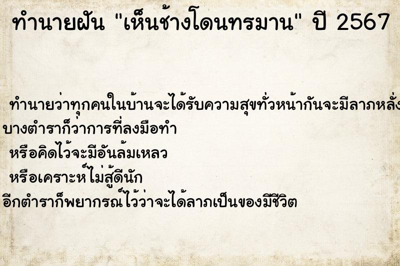 ทำนายฝันเห็นช้างโดนทรมาน ทำนายฝันทำนายฝันเห็นช้างโดนทรมาน