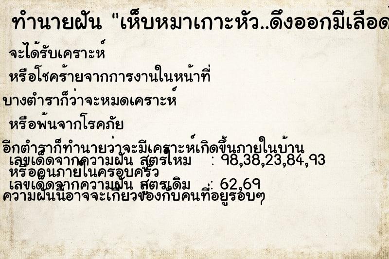 ทำนายฝัน เห็บหมาเกาะหัว..ดึงออกมีเลือดไหล ทำนายฝัน เห็บหมาเกาะหัว..ดึงออกมีเลือดไหล