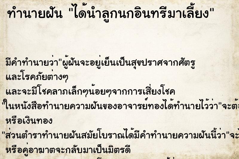 ทำนายฝัน ได้นำลูกนกอินทรีมาเลี้ยง ทำนายฝัน ได้นำลูกนกอินทรีมาเลี้ยง