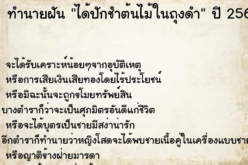 ทำนายฝันทำนายฝันได้ปักชำต้นไม้ในถุงดำ