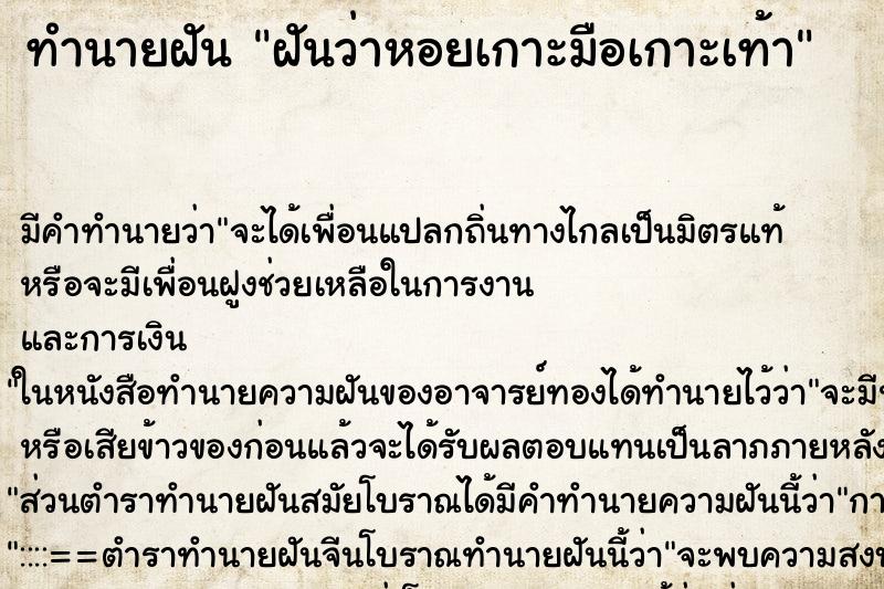 ทำนายฝันฝันว่าหอยเกาะมือเกาะเท้า ทำนายฝันทำนายฝันฝันว่าหอยเกาะมือเกาะเท้า