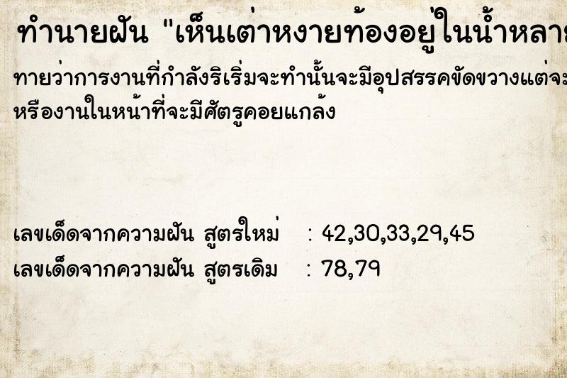 ทำนายฝันทำนายฝันเห็นเต่าหงายท้องอยู่ในน้ำหลายตัววัน