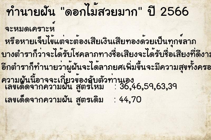 ทำนายฝัน ดอกไม้สวยมาก ทำนายฝัน ดอกไม้สวยมาก