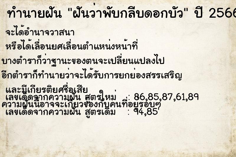 ทำนายฝันฝันว่าพับกลีบดอกบัว ทำนายฝันทำนายฝันฝันว่าพับกลีบดอกบัว