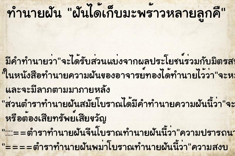 ทำนายฝันฝันได้เก็บมะพร้าวหลายลูกคื ทำนายฝันทำนายฝันฝันได้เก็บมะพร้าวหลายลูกคื