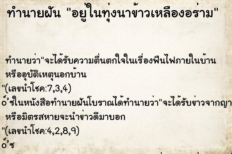 ทำนายฝัน อยู่ในทุ่งนาข้าวเหลืองอร่าม ทำนายฝัน อยู่ในทุ่งนาข้าวเหลืองอร่าม