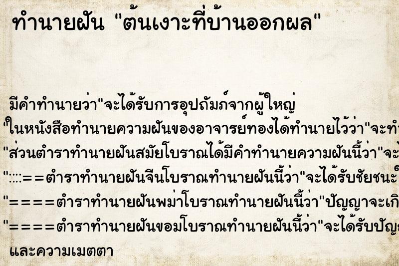 ทำนายฝัน ต้นเงาะที่บ้านออกผล ทำนายฝัน ต้นเงาะที่บ้านออกผล