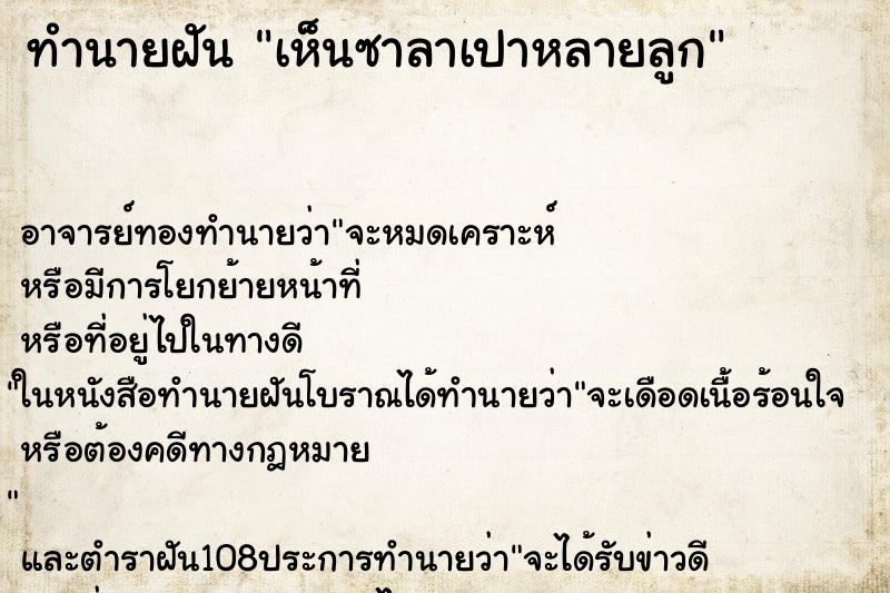 ทำนายฝันเห็นซาลาเปาหลายลูก ทำนายฝันทำนายฝันเห็นซาลาเปาหลายลูก